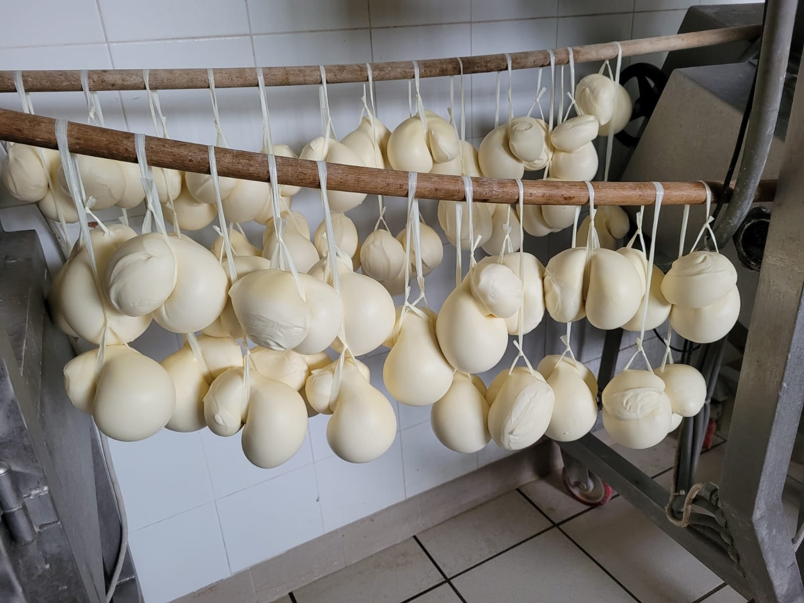 FORMAGGI