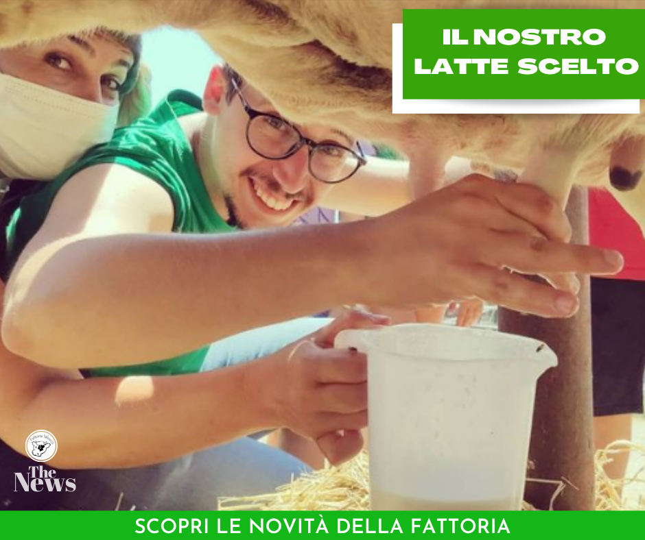 Arriva il marchio De.C.O. alla Fattoria Salvucci …