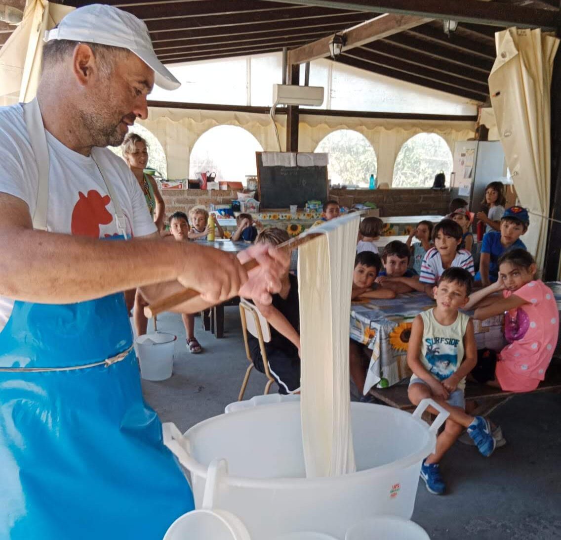 Laboratori