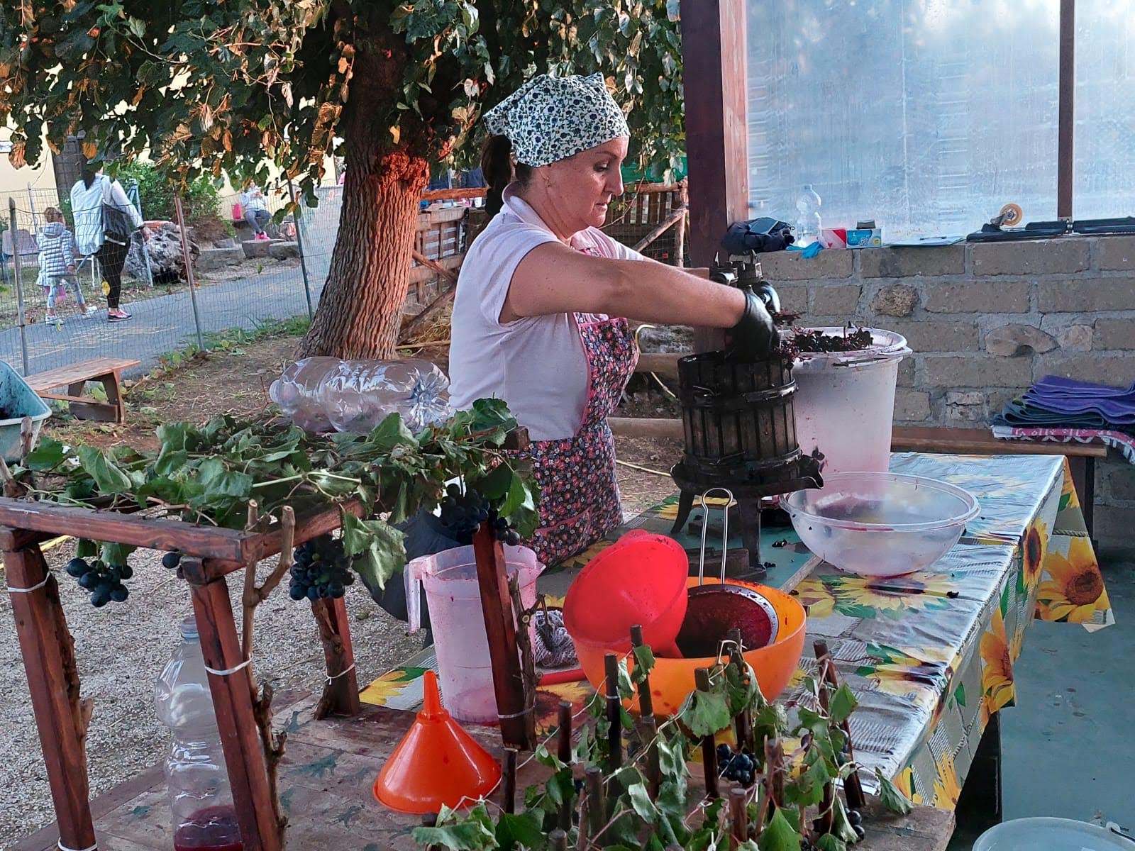 Laboratori