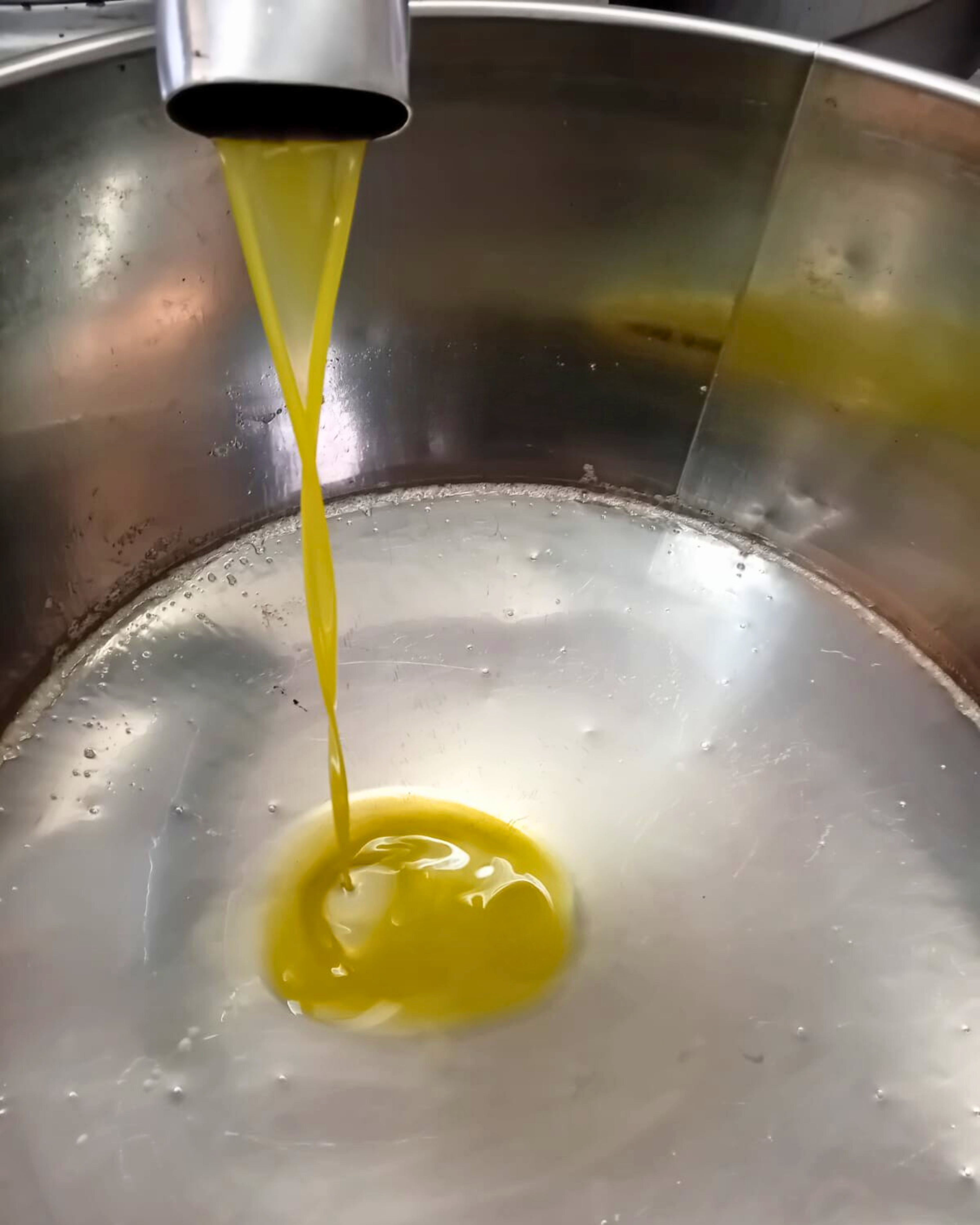 Il nostro Olio