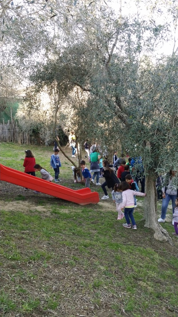 FESTE IN FATTORIA