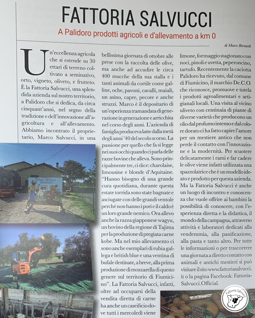CENTRO ESTIVO 2023