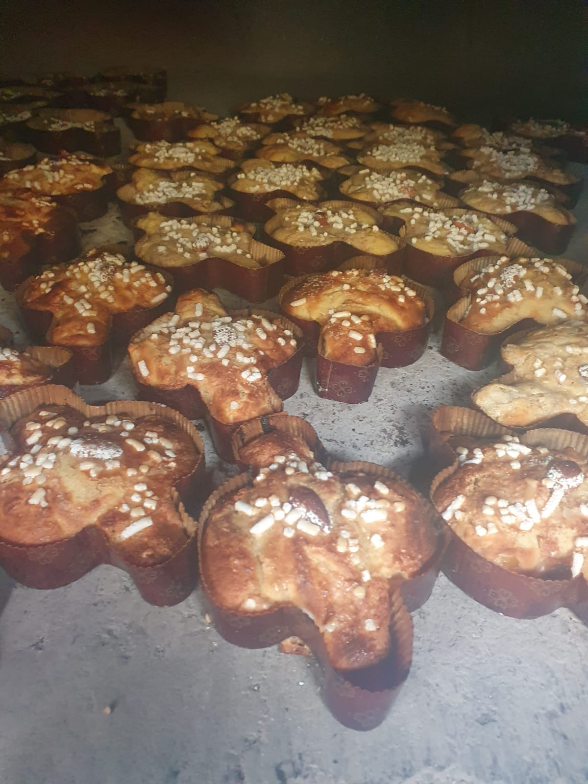 Laboratorio della Colomba