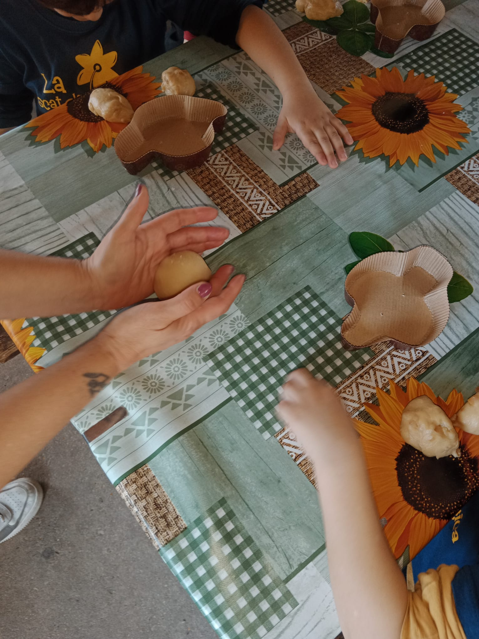 Laboratorio della Colomba