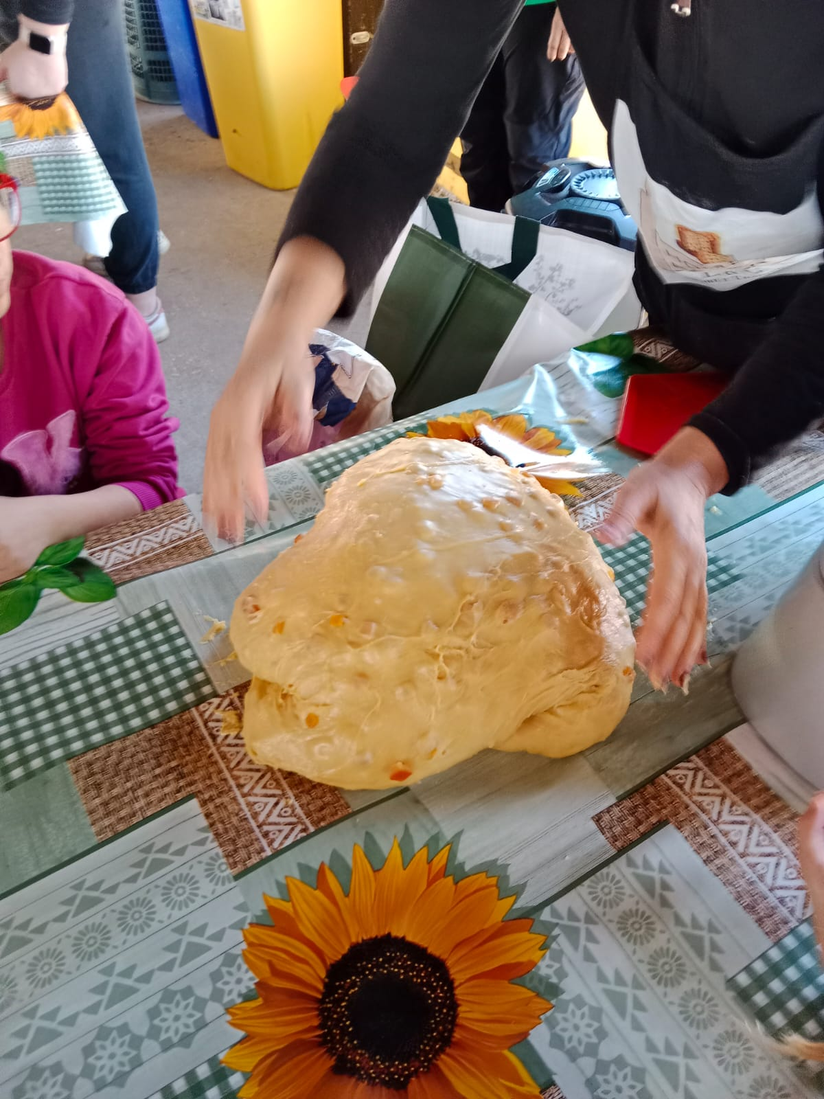 Laboratorio della Colomba