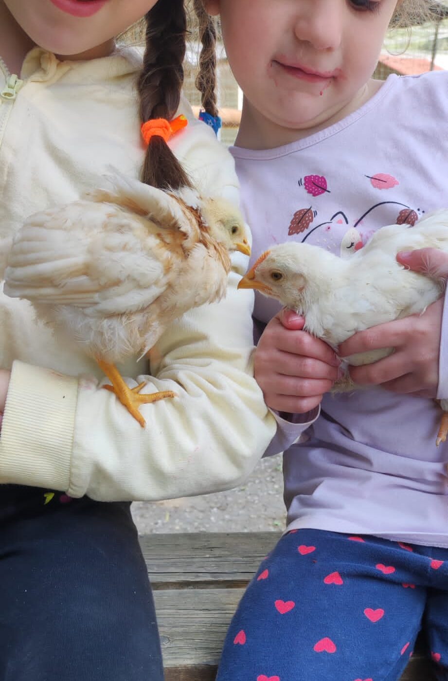 Festa di Primavera alla Fattoria Salvucci