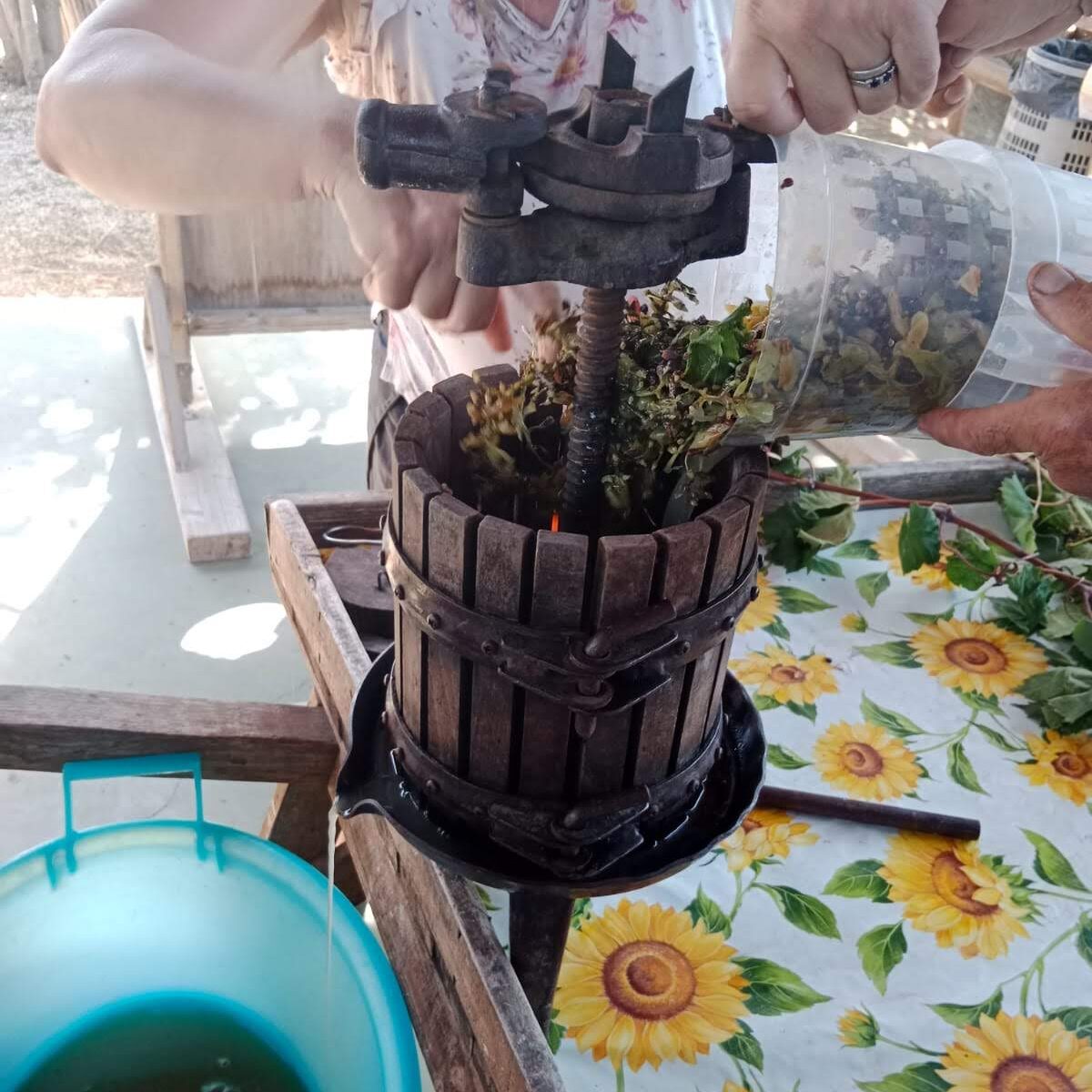 Festa d’Autunno con Vendemmia 2025