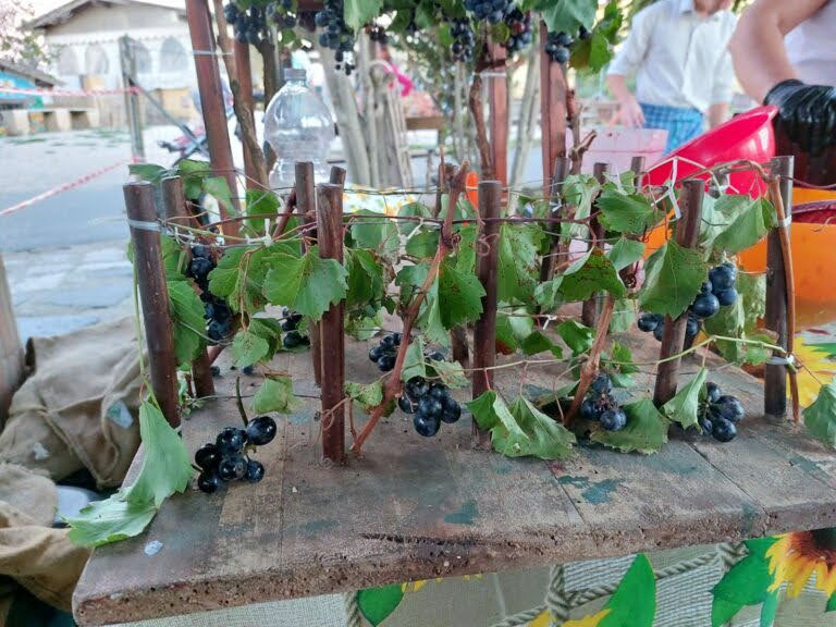 Festa d’Autunno con Vendemmia 2025