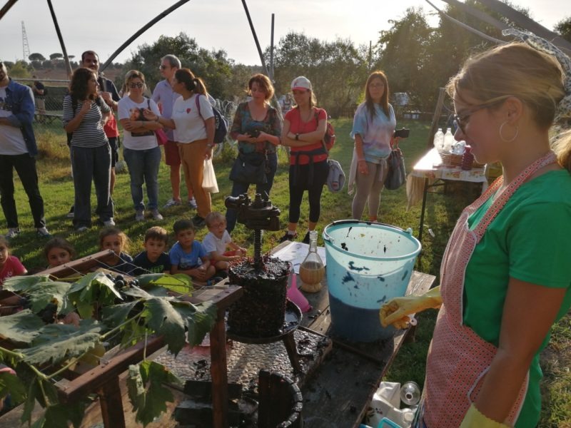 Festa d’Autunno con Vendemmia 2025