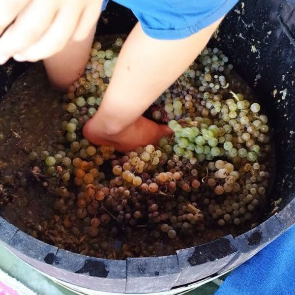 Festa d’Autunno con Vendemmia 2025