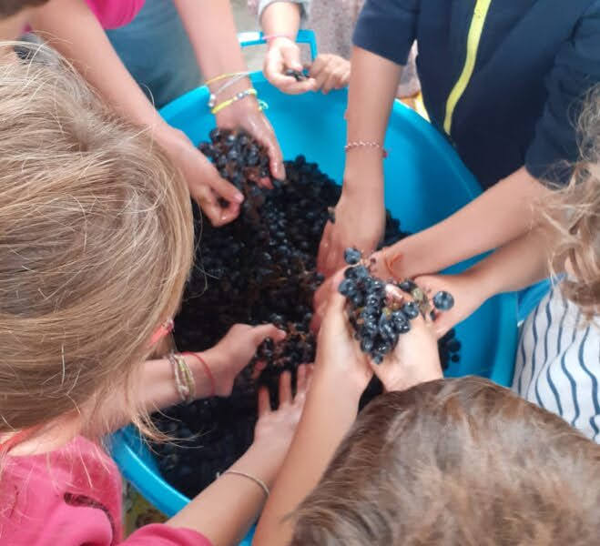 Festa d’Autunno con Vendemmia 2025