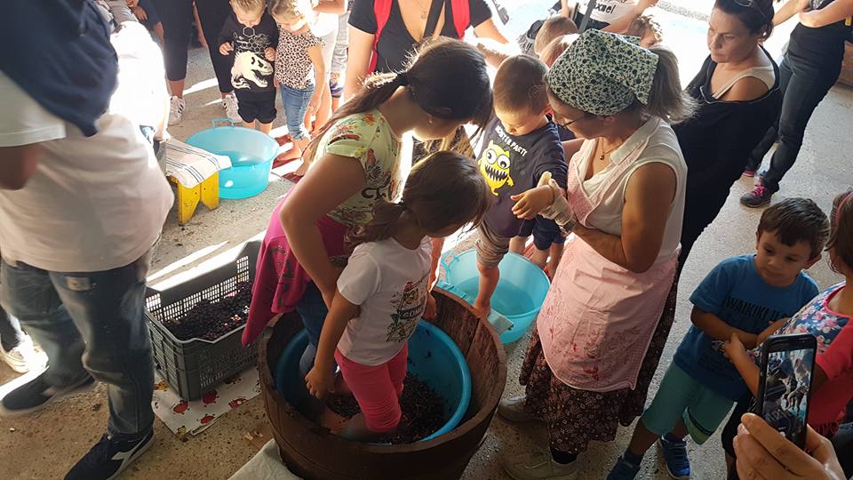 Festa d’Autunno con Vendemmia 2025