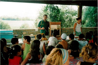 Scuole