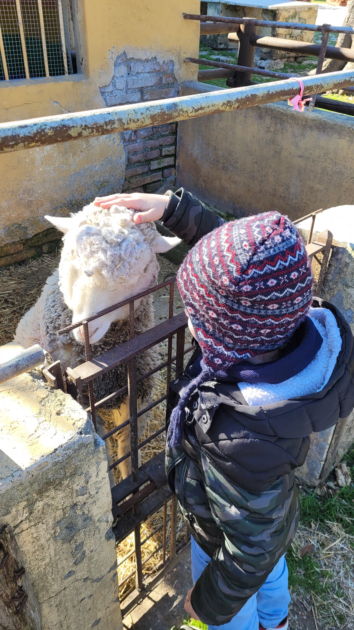 FATTORIA